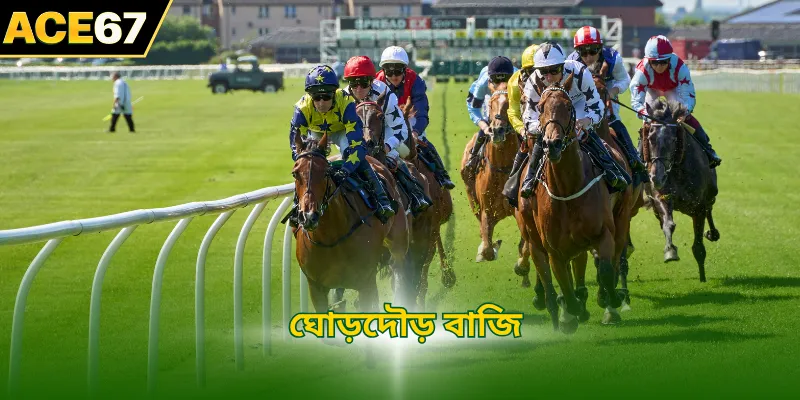 আরসিবি৯৮৮ হর্সবুক