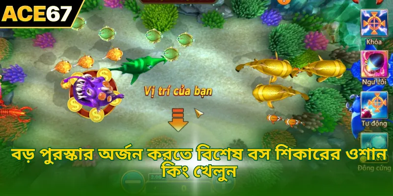 বড় পুরস্কার অর্জন করতে বিশেষ বস শিকারের ওশান কিং খেলুন